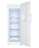 226L 300 Series Vertical Freezer  gallery image 2.0