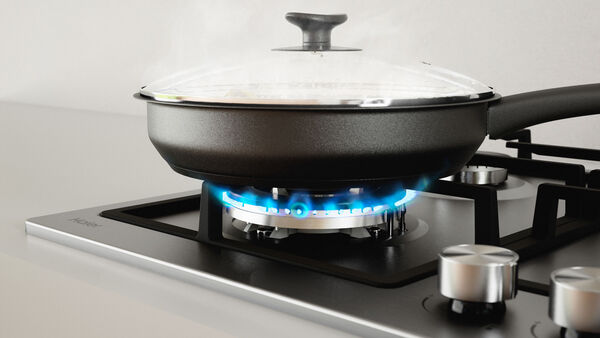 Flame Failure Safety