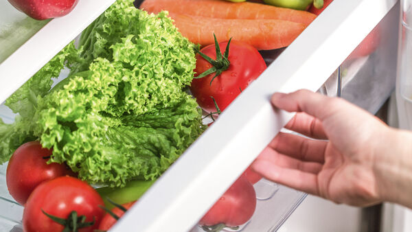 Fresh food crisper