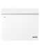 301L 300 Series Chest Freezer gallery image 1.0