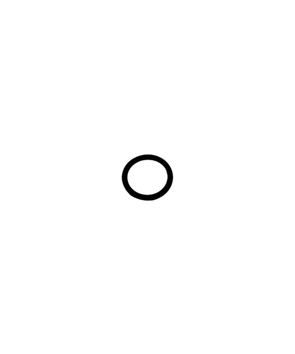 O-Ring, pdp